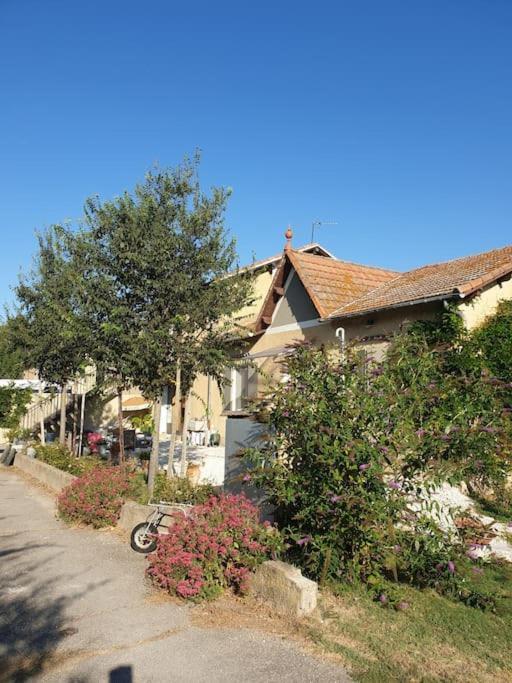 St Remy De Provence, La Maison Du Berger Saint-Andiol Exterior photo